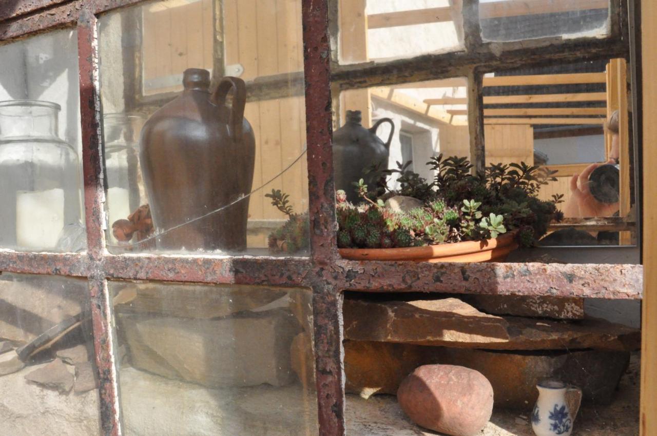 Pension "Seeblick" Am Stelzenhaus Dornburg  Zewnętrze zdjęcie